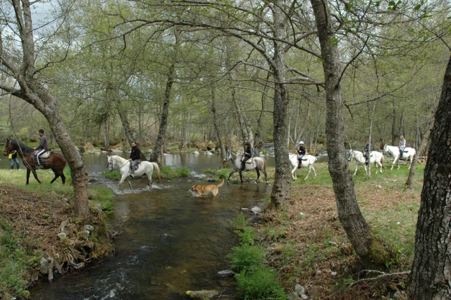 Excursiones a caballo en Sanabria